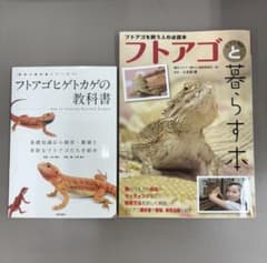 フトアゴヒゲトカゲの飼育本 2冊セット - メルカリ