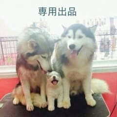 【専用出品】サムデイ様のサムネイル