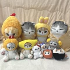 모프샌드 대량 묶음 판매 !
