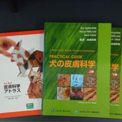 【小動物臨床】獣医師向け専門書 皮膚科3冊セット＋おまけ(皮膚模型)のサムネイル