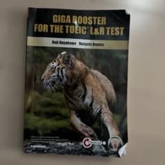 全パート・全頻出!TOEICL&Rテスト実戦問題GIGAのサムネイル