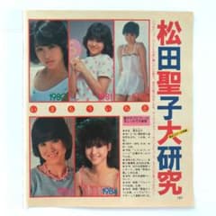 1980年代 松田聖子　切り抜きカード26枚セット 松田聖子 切り抜き 1980年代 A4サイズ - メルカリ