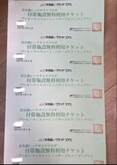 【６枚】 浜名湖レークサイドプラザ プール無料利用券のサムネイル