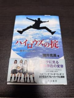 ハイロウズの掟 : 青年のかたちのサムネイル