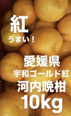 愛媛県産 河内晩柑 宇和ゴールド 紅 柑橘 10kg - メルカリ
