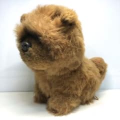 m81694770187_1.jpg?1645421083