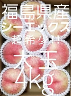2 もうすぐ終了 甘い 福島県産 シーエックス 4kg 桃 訳あり わけありのサムネイル
