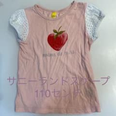 サニーランドスケープ★袖レースTシャツ110センチ【値下げ】のサムネイル