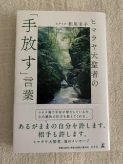 ヒマラヤ大聖者の「手放す」言葉 相川圭子のサムネイル
