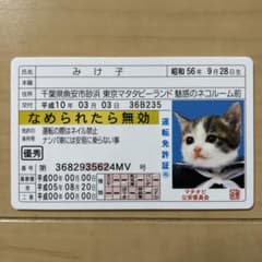 なめ猫 免許証 みけ子のサムネイル