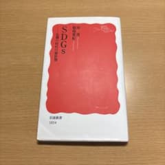 SDGs 危機の時代の羅針盤 南博 稲場雅紀 岩波新書のサムネイル