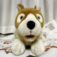 フランダースの犬　パトラッシュ　ぬいぐるみ Amazon.co.jp: ロ ッテ フランダースの犬 ぬいぐるみ