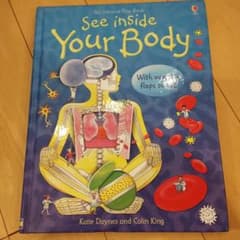児童書　洋書　フリップ絵本　See inside Your Bodyのサムネイル