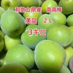 和歌山県産 南高梅 2L 3kg 美品のサムネイル