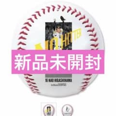 福岡ソフトバンクホークス東浜巨 ノーヒットノーラン記念 サインボール 他逸品出品 東浜巨 ノーヒットノーラン達成記念サインボール 福岡ソフトバンク
