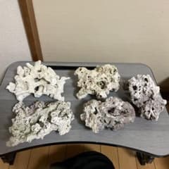 アクアリウム用 デッドロック 5個セット アクアリウム用 デッドロック 5個セット | Mercari
