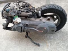 m81738688317_1.jpg?1699171052