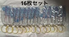 新品未使用 宗谷いちか16枚セット ななしいんく アクリルスタンド GiGO限定