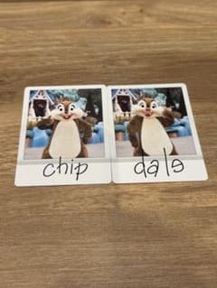 ディズニー チップとデール フォトカード 2枚セットのサムネイル