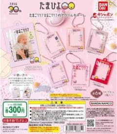 たまひよガチャガチャのサムネイル
