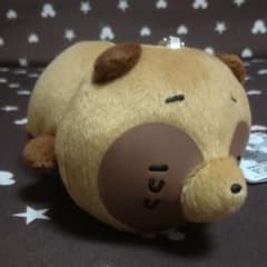 [17cm] 너구리 ☆ 큰 봉제 인형