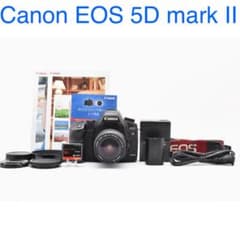 Canon EOS 5D MarkII & AF28-80mm純正フルセット 美品 Canon EOS 5D mark II /EF28-80mm IV - メルカリ