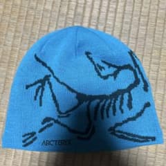 ARC'TERYX BIRD HEAD TOQUE ニット帽のサムネイル
