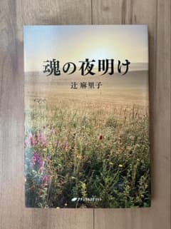 魂の夜明け 辻麻里子のサムネイル