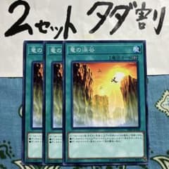 遊戯王 竜の渓谷 3枚セット 2セットタダ割☆ギム Ca418spbb - メルカリ