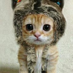 MIKE様専用のサムネイル