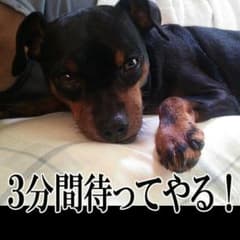 妖怪メダル！ももんか様専用ウサピョンのサムネイル
