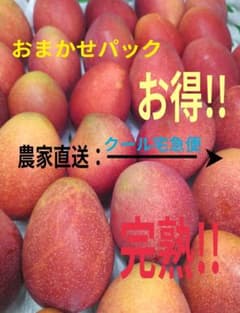 【お得】農家直送!! 完熟マンゴーおまかせパック 5kg クール宅急便 お得】農家直送!! 完熟マンゴーおまかせパック クール宅急便 - メルカリ