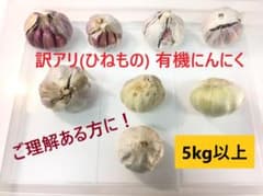 訳アリ有機にんにく ひねもの 5kg 特価 訳アリ有機にんにく ひねもの 5kg 特価 - メルカリ