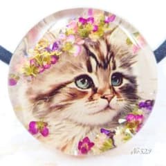 押し花と猫ちゃんのヘアゴム ハンドメイド レジン アリッサム ネックレス お花のサムネイル