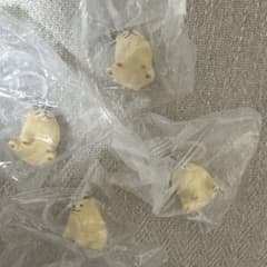 もっちりパピーのめじるしマスコット ポメラニアンのサムネイル