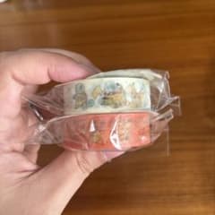 포켓몬 마스킹 테이프 2 점 세트 제니 거북 인간 도마뱀 Pokémon