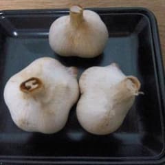 ジャンボニンニク種用 Aのサムネイル