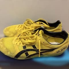 ASICS LD LAPAN 27cm　最低価格のサムネイル