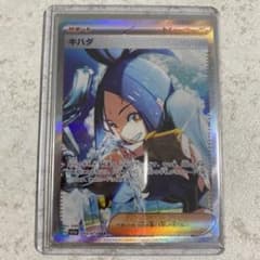キハダ　SARのサムネイル
