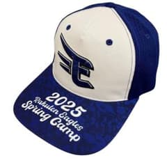 新品未使用 Mizuno 楽天イーグルス春季キャンプキャップ 2025