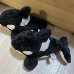 鴨川シーワールド シャチ くじ ぬいぐるみ 2匹双子セットのサムネイル