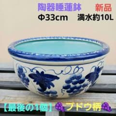 新品 ∅33 陶器 睡蓮鉢 メダカ鉢 手書き絵 ブドウ柄 手造り 高級品 SBB