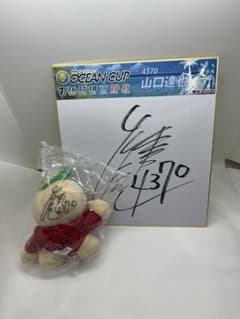 元TOKIO山口達也 直筆サイン入りボール 元TOKIO山口達也 直筆サイン入りボール - メルカリ