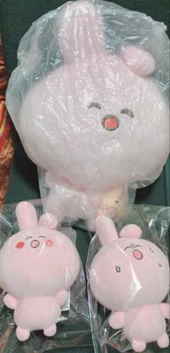 P丸様　ぬいぐるみ　3点　セット