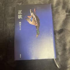 正欲　浅井リョウのサムネイル
