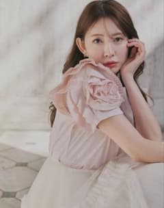 MAISON Herlipto Vol.2 Rose Sleeve Top - メルカリ