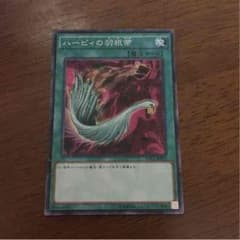 ハーピィの羽根箒のサムネイル