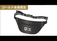 ガンバ大阪 ファンクラブ会員限定 ボディバッグ ウエストバッグ 新品未使用品のサムネイル