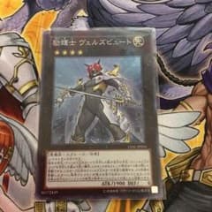 No.1 遊戯王 励騎士ヴェルズビュートのサムネイル