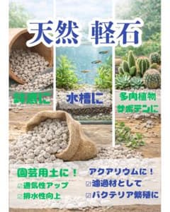 天然軽石｜白くて綺麗｜サイズ豊富｜園芸｜アクアリウムのサムネイル
